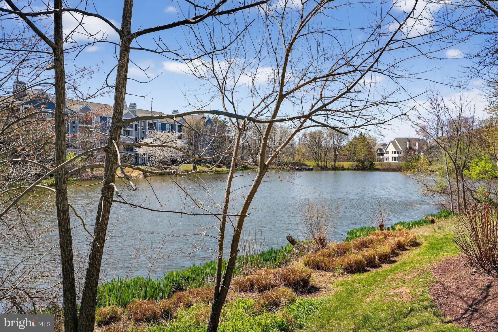 14322 Climbing Rose Way, Unit 306 Centreville, VA 20121 - Photo 32 of 35 a backyard of a house with lots of green space