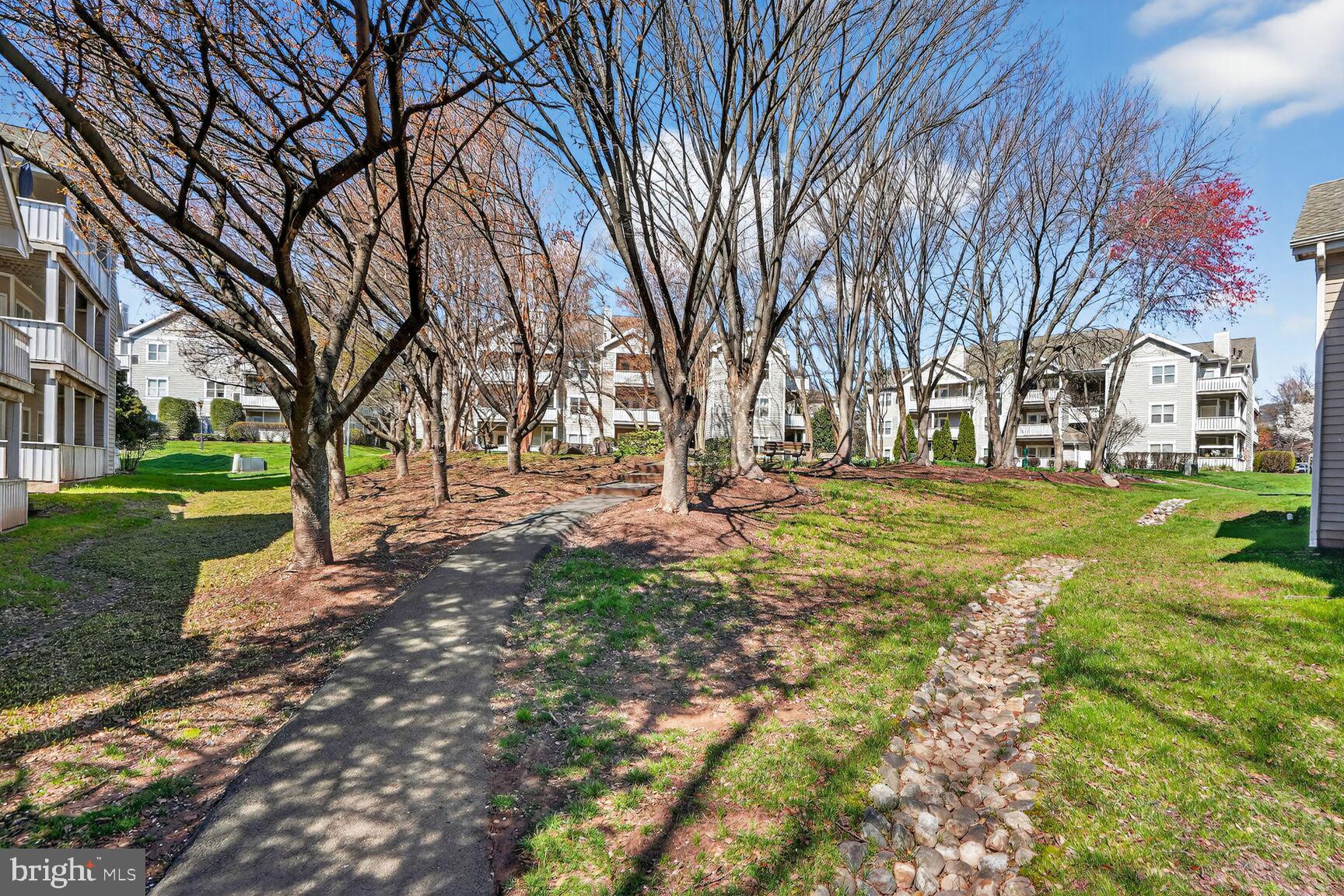 14322 Climbing Rose Way, Unit 306 Centreville, VA 20121 - Photo 34 of 35 a view of road with trees