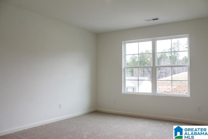 520 Rock Terrace Way Helena, AL 35080 - Photo 36 of 53