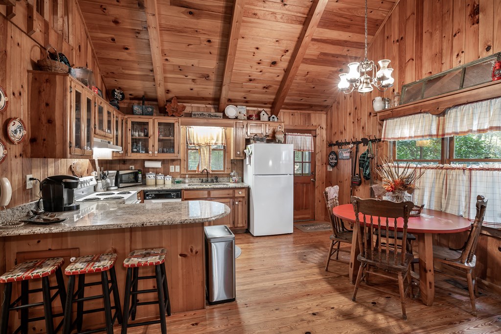 263 Indian Cave Road Ellijay, GA 30536 - Photo 10 of 50