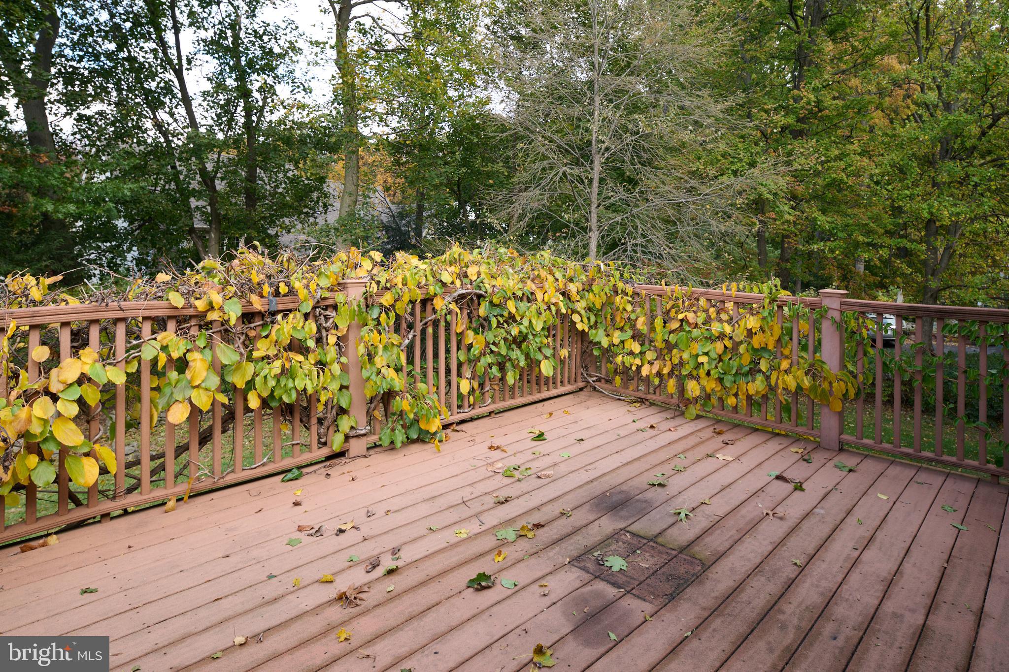 1035 Oak Ridge Avenue State College, PA 16801 - Photo 53 of 63 Gallery Image 53