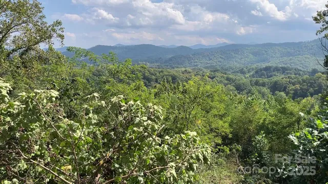 a view of a city with lush green forest