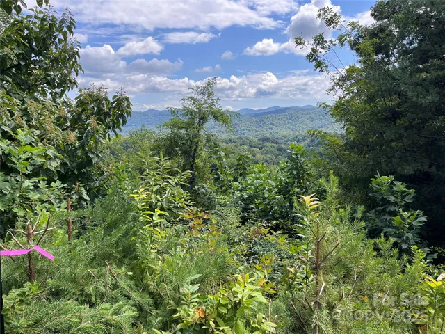 a view of outdoor space and green space