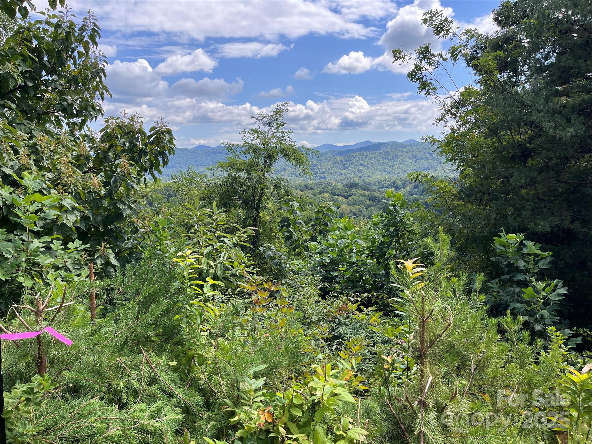 4 Summit View Drive, Unit 4 Candler, NC 28715 - Photo 13 of 23