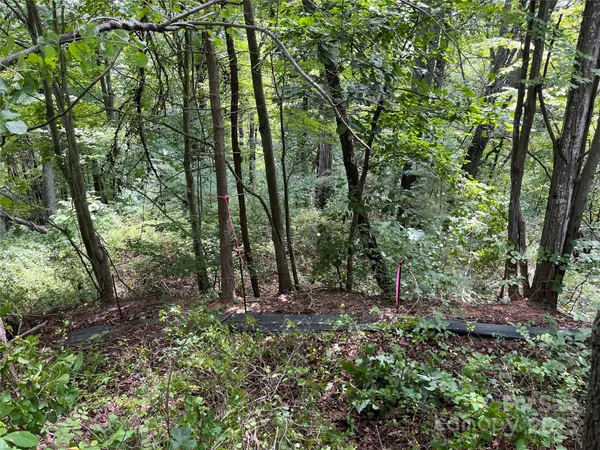 a view of a lake with a tree