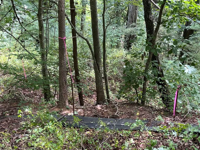 a view of outdoor space and city view