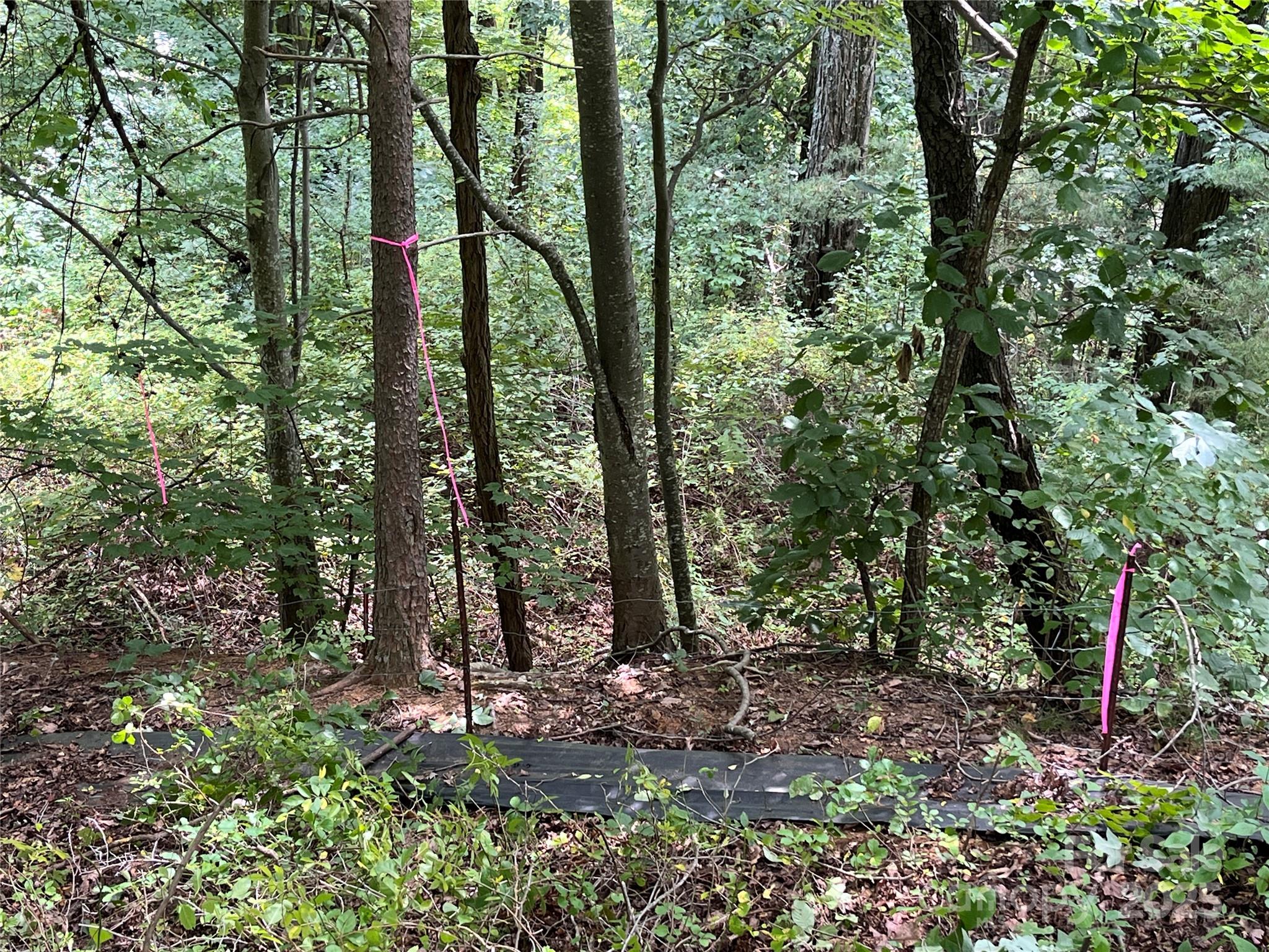 4 Summit View Drive, Unit 4 Candler, NC 28715 - Photo 15 of 23 a view of outdoor space and green space