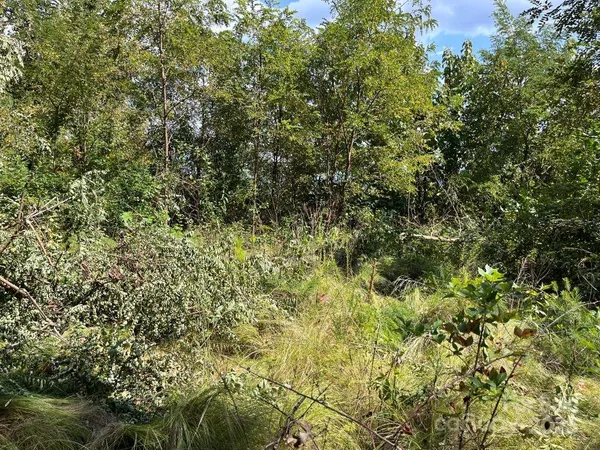 a view of a deck with a yard