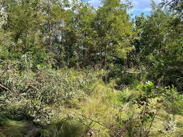 a view of a deck with a yard