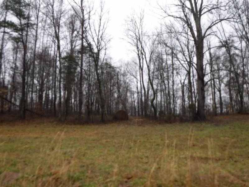7 Arrowhead Road Moss, TN 38575 - Photo 3 of 11 a view of outdoor space and yard