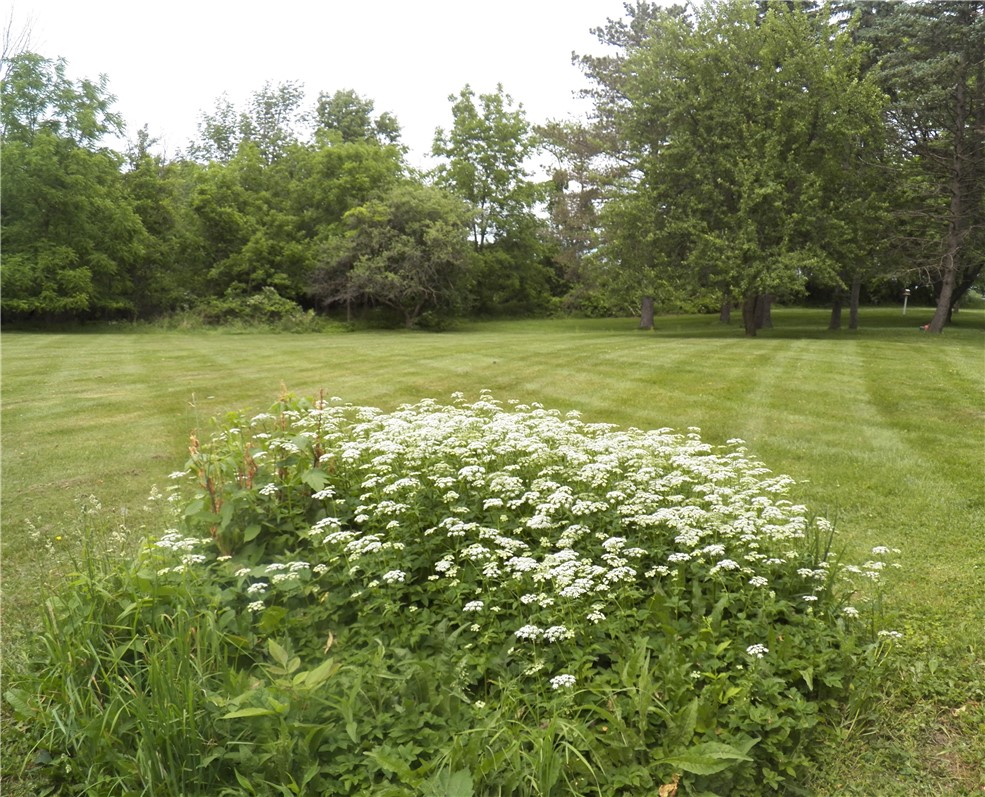 6720 Rice Road East Bloomfield, NY 14564 - Photo 14 of 36