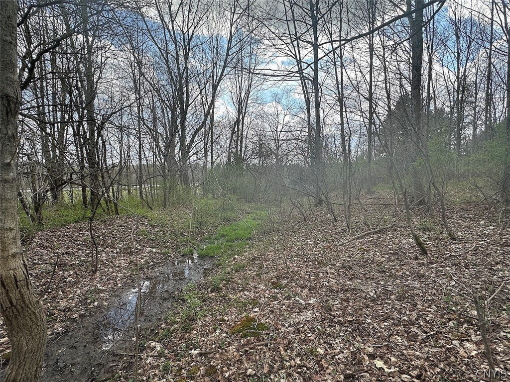 Pigtail Road Friendship, NY 14739 - Photo 6 of 11