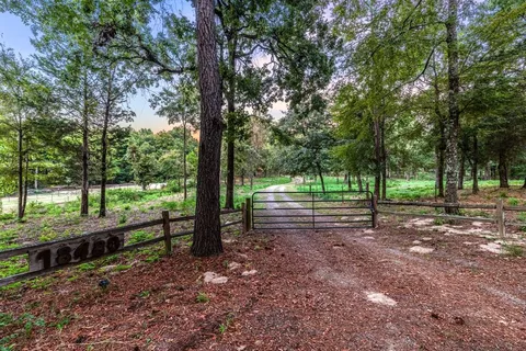 a view of a backyard with tree
