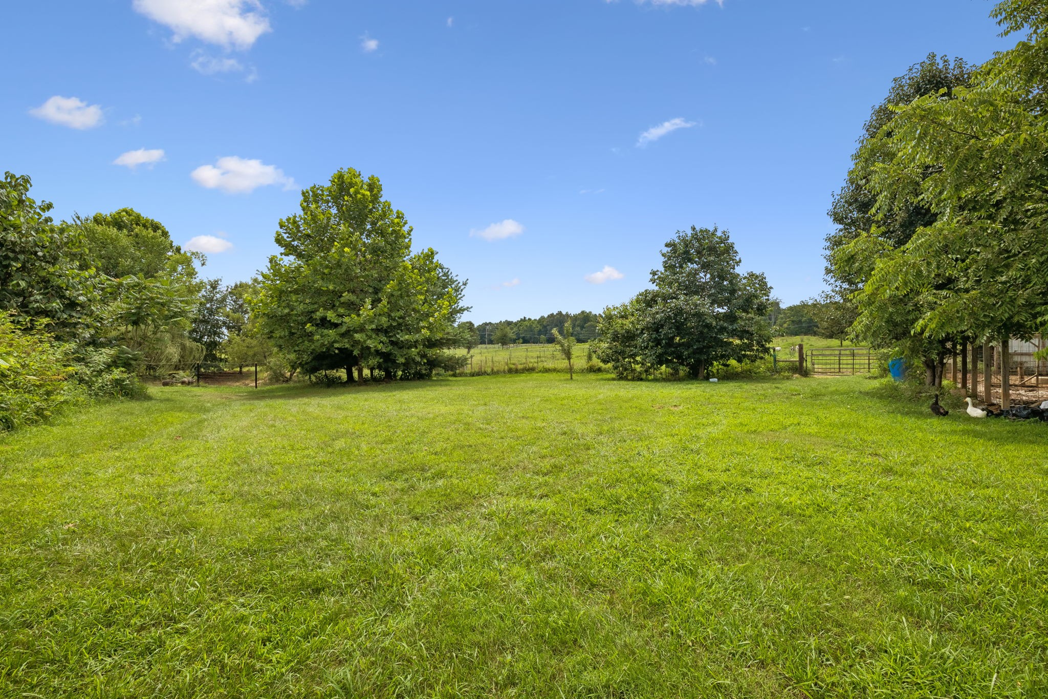 3384 Maxie Jones Road Springfield, TN 37172 - Photo 49 of 66