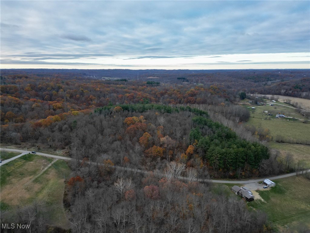 2400 Irish Ridge Road Philo, OH 43771 - Photo 41 of 47