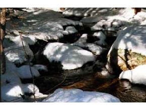 21 Winding Brook Road Newbury, NH 03255 - Photo 1 of 6