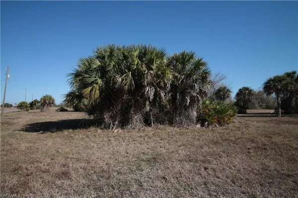 a view of outdoor space and trees