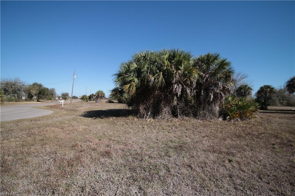 1 Hull Court Placida, FL 33946 - Photo 13 of 13 a backyard of a house with lots of green space