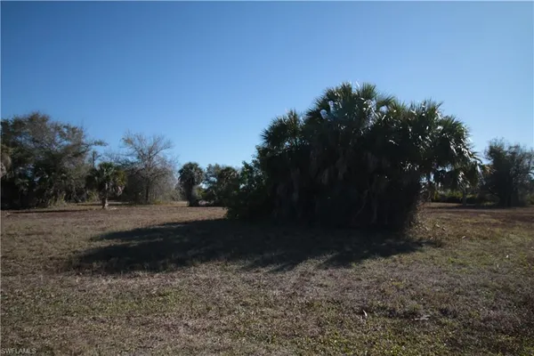 a view of backyard with green space