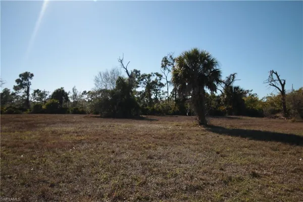 a view of dirt field with trees in background