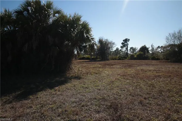 a view of a yard with trees in the background