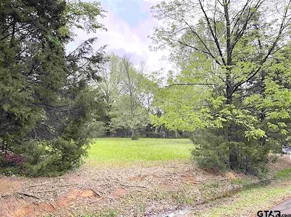 $14,000 | Lot 61 Cypress Circle, Mount Vernon, TX 75457