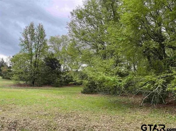 $14,000 | Lot 61 Cypress Circle, Mount Vernon, TX 75457