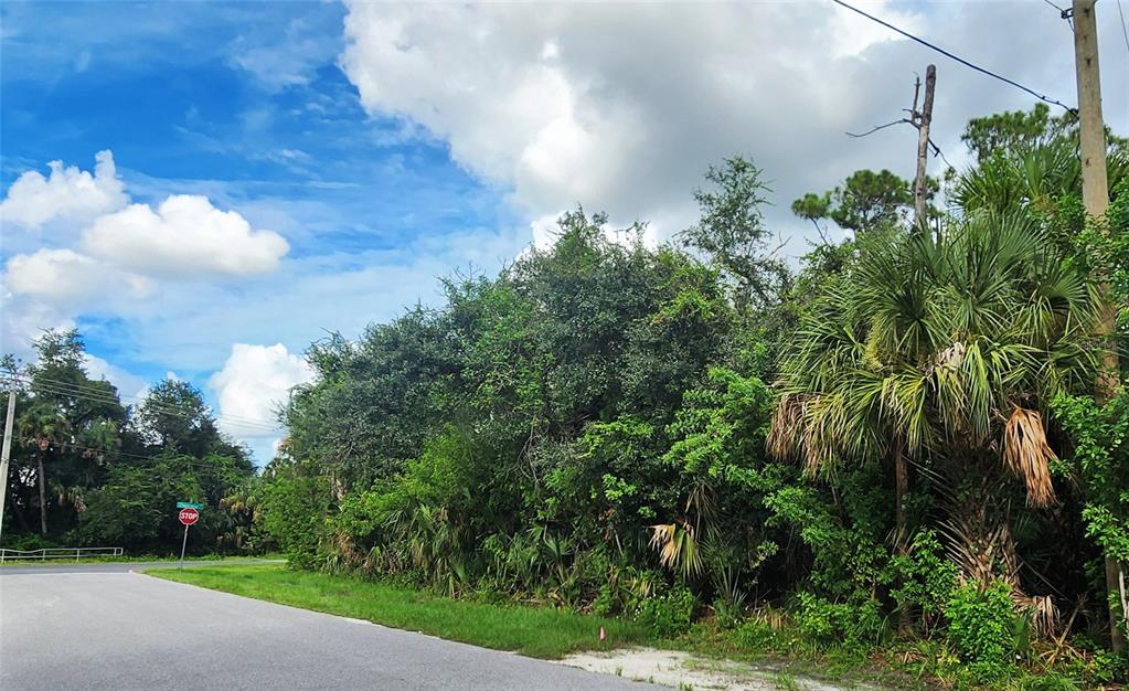 10 Hoffer Street Port Charlotte, FL 33953 - Photo 3 of 4 a view of a yard