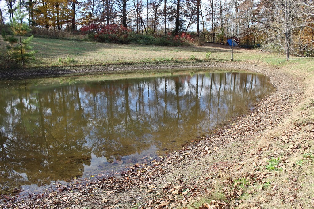 321 Benton Station Road Benton, TN 37307 - Photo 5 of 25 Gallery Image 5