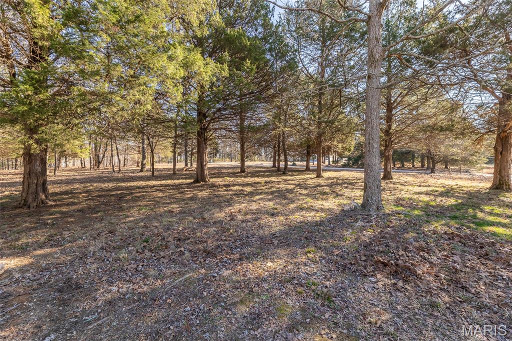 53 Snapping Turtle Lane Doniphan, MO 63935 - Photo 17 of 21