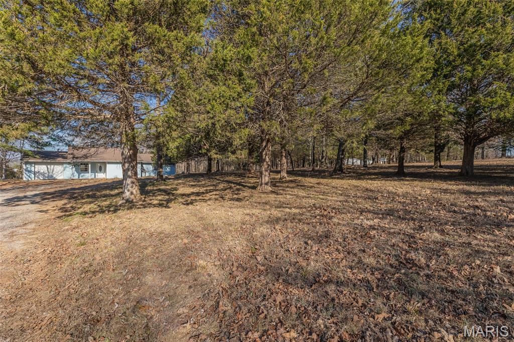 53 Snapping Turtle Lane Doniphan, MO 63935 - Photo 19 of 21