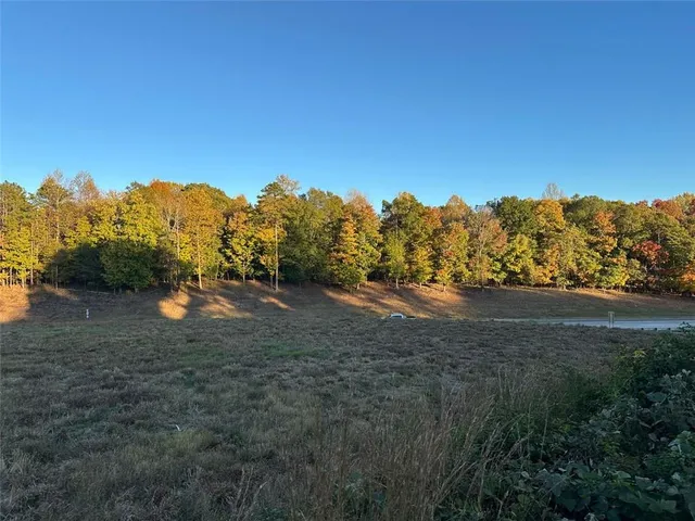 a view of a yard with a tree