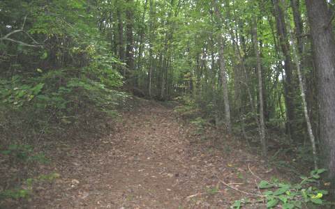 3.6-ac Mull Road Morganton, GA 30560 - Photo 1 of 1 Main View