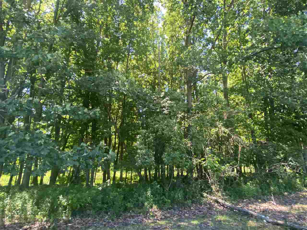 5950-1 Calhoun Road Beaverton, MI 48612 - Photo 73 of 93