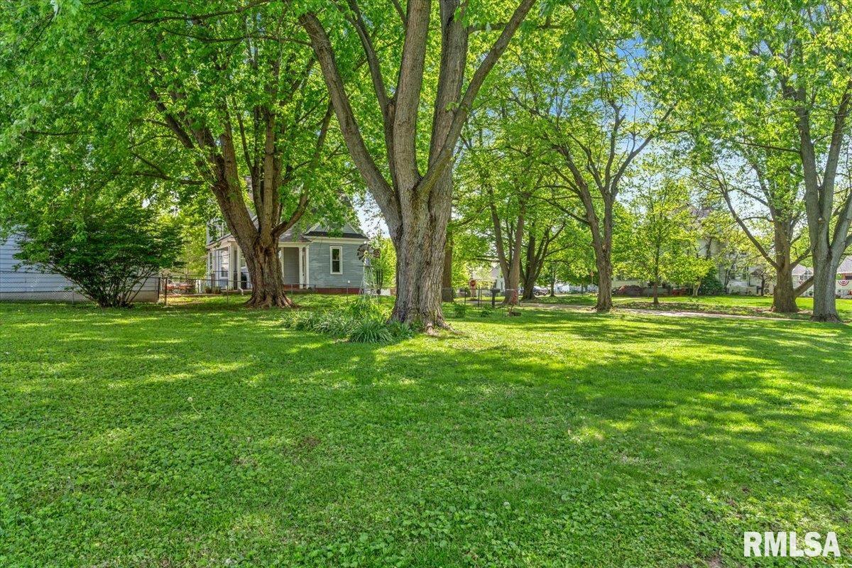 115 North Spring Street Mount Pulaski, IL 62548 - Photo 36 of 42