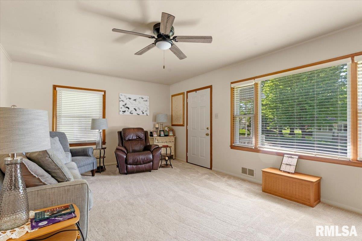 115 North Spring Street Mount Pulaski, IL 62548 - Photo 4 of 42
