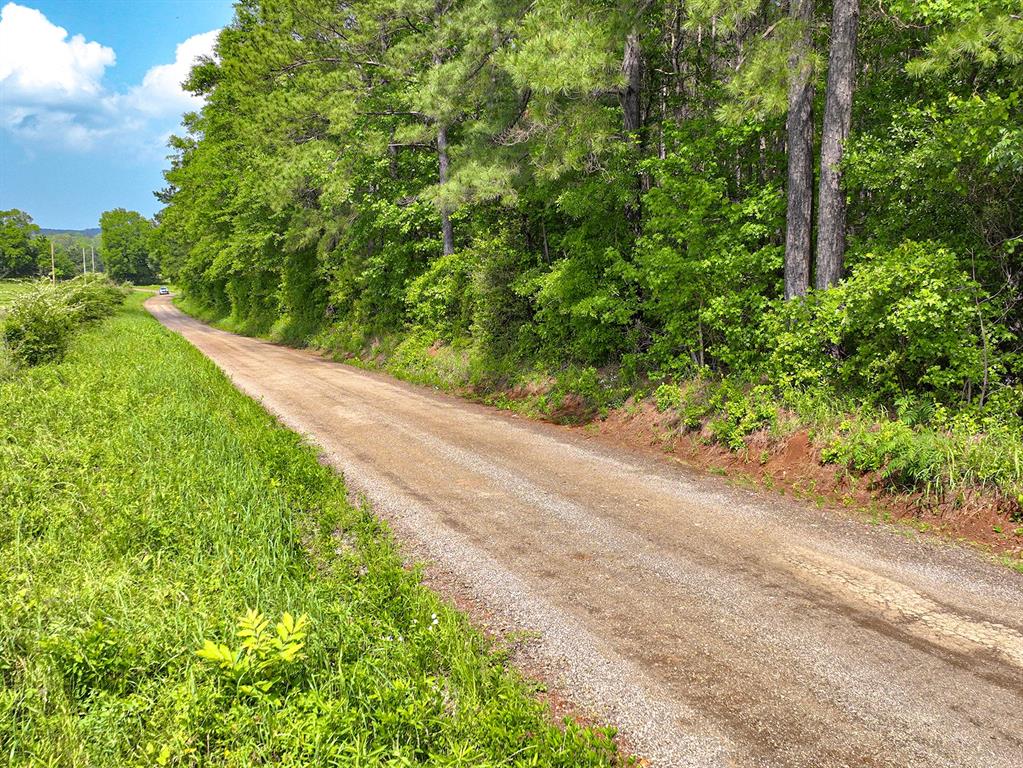Tbd Kings Road San Augustine, TX 75972 - Photo 10 of 11
