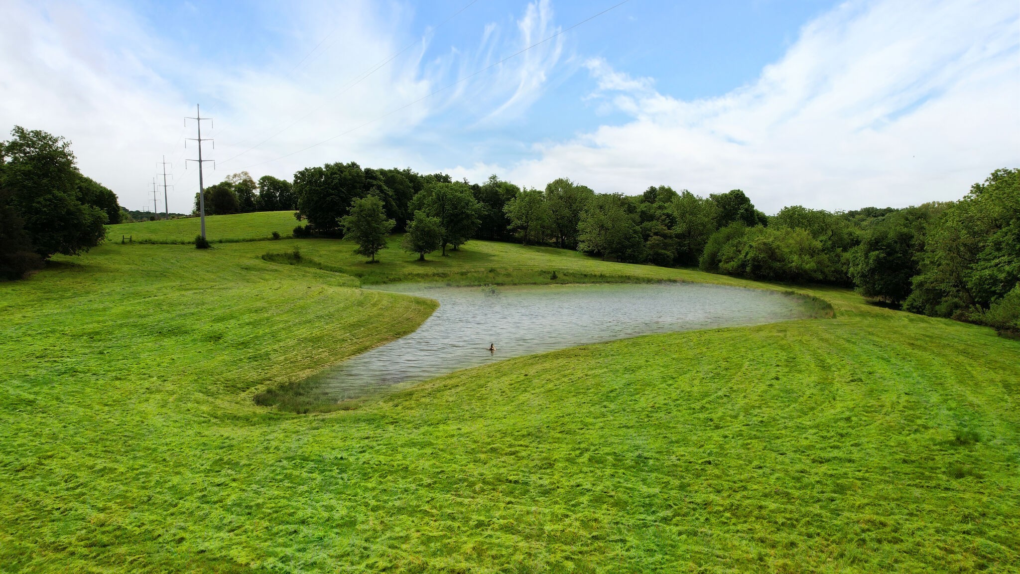8260 Hawkins Road College Grove, TN 37046 - Photo 8 of 29 Gallery Image 8