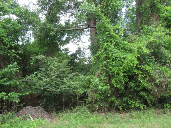 $169,000 | 184 Hickory Drive, Onalaska, TX 77360