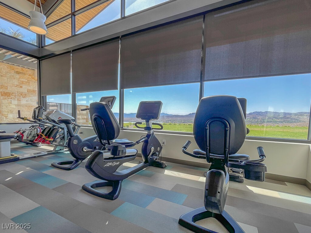 36 Stone Bluff Lane Henderson, NV 89011 - Photo 41 of 52