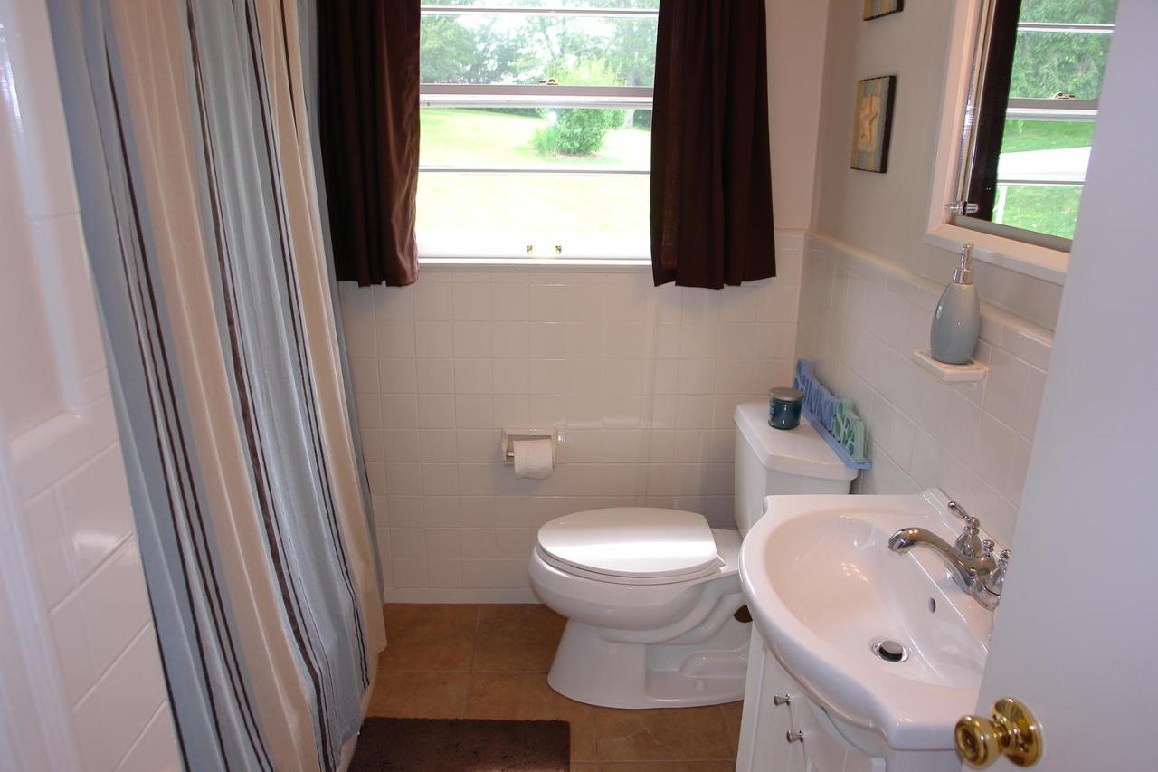 6534 Pendleton Avenue Roanoke, VA 24019 - Photo 17 of 38 Main hall bath