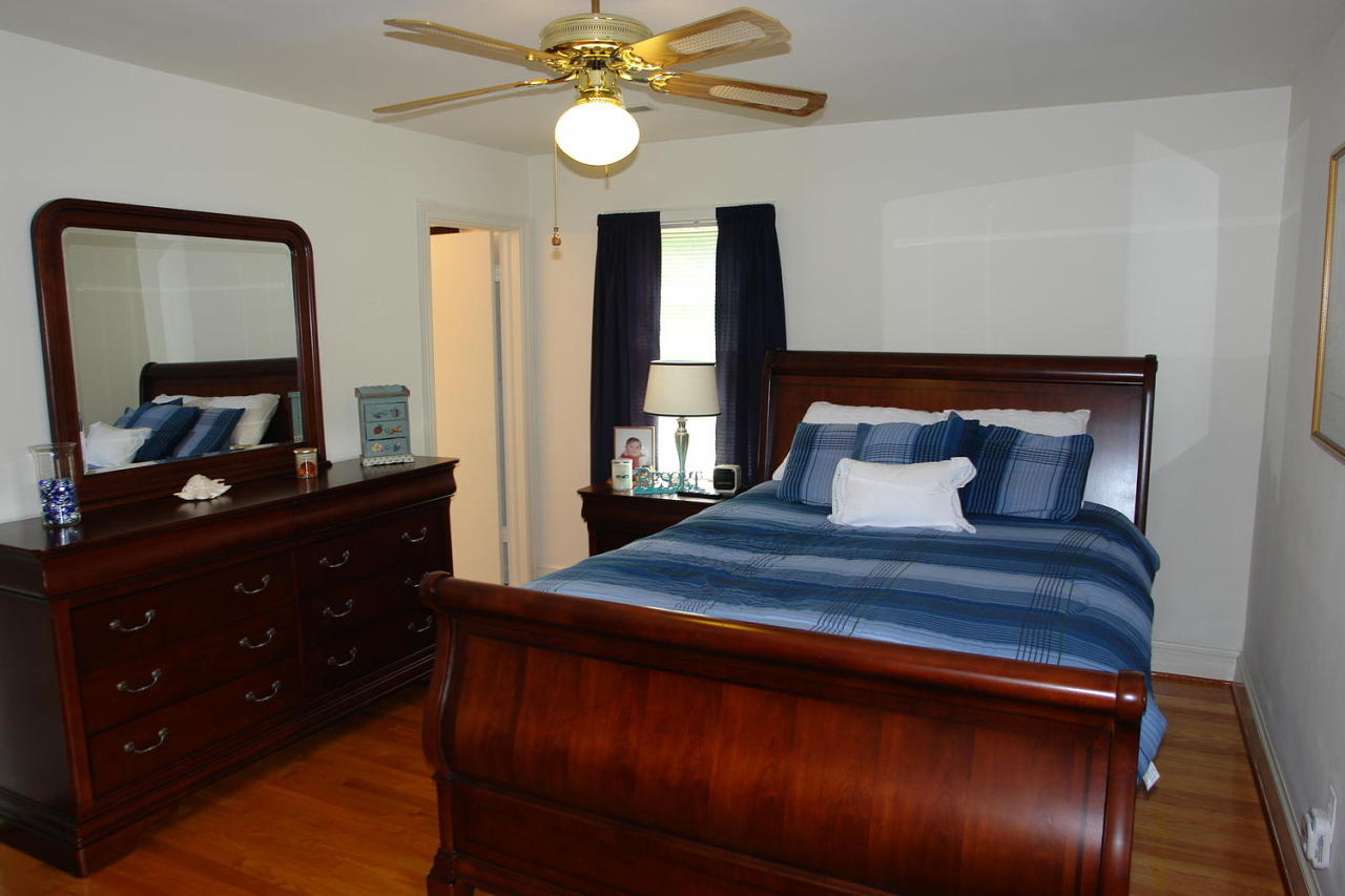 6534 Pendleton Avenue Roanoke, VA 24019 - Photo 21 of 38 Master Bedroom with ceiling fan and en-s