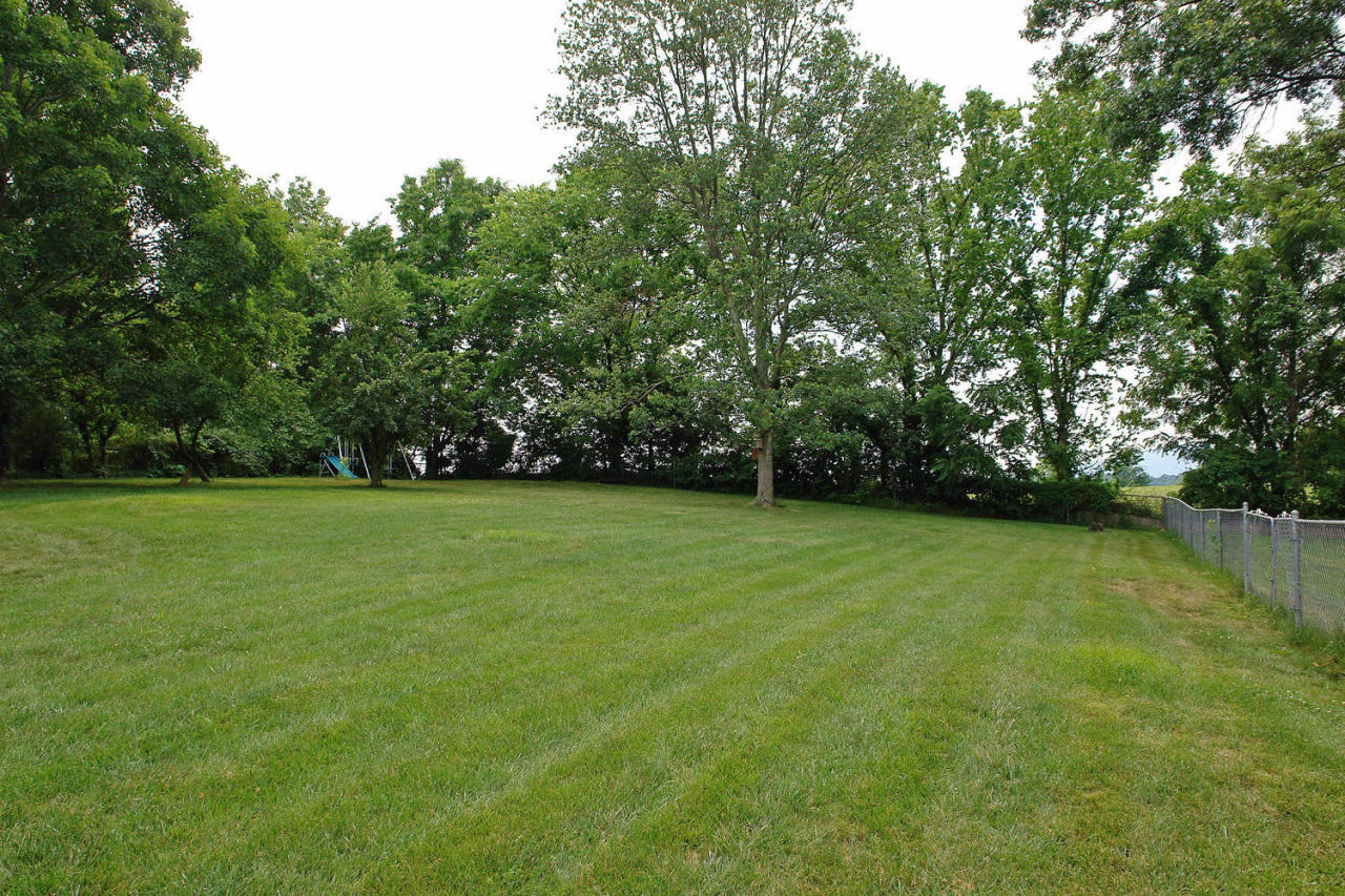 6534 Pendleton Avenue Roanoke, VA 24019 - Photo 36 of 38 yard rear from house