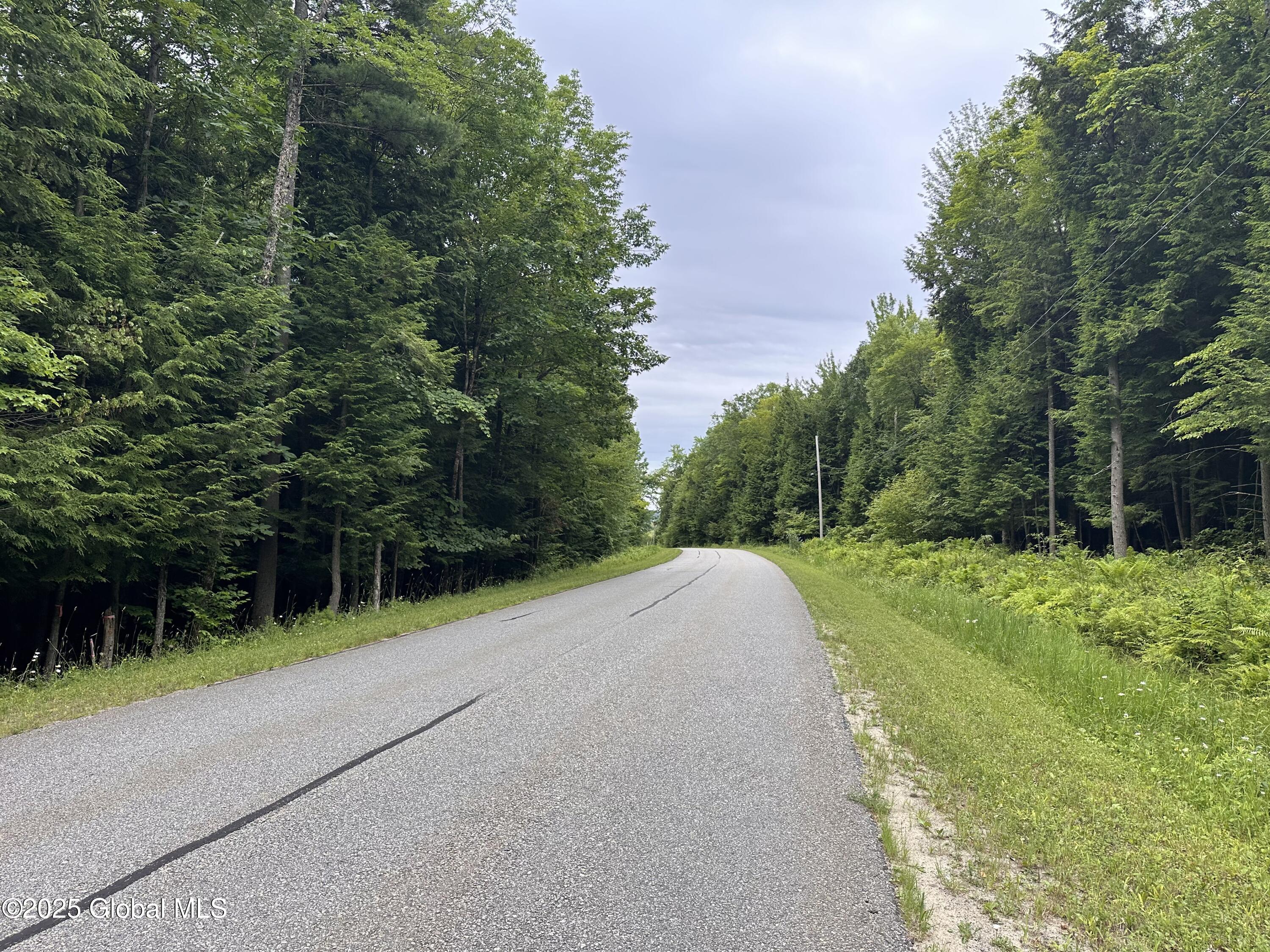 2 Diamond Ridge Road Diamond Point, NY 12824 - Photo 1 of 7 IMG_6920