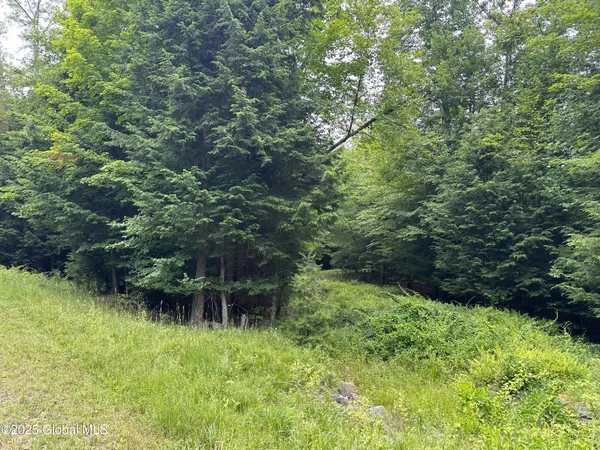$179,000 | 2 Diamond Ridge Road, Diamond Point, NY 12824