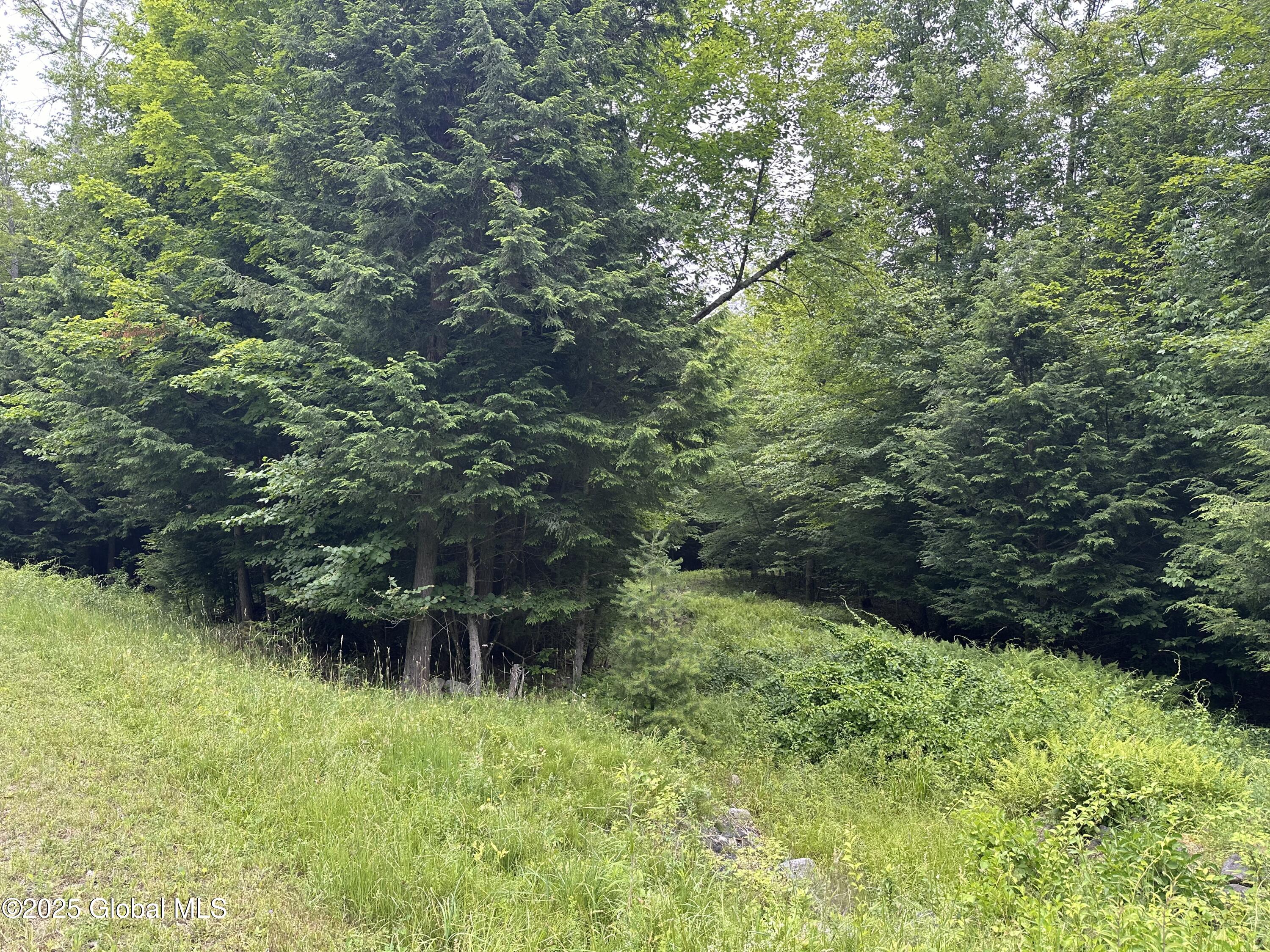 2 Diamond Ridge Road Diamond Point, NY 12824 - Photo 2 of 7 IMG_6919