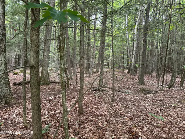 $179,000 | 2 Diamond Ridge Road, Diamond Point, NY 12824