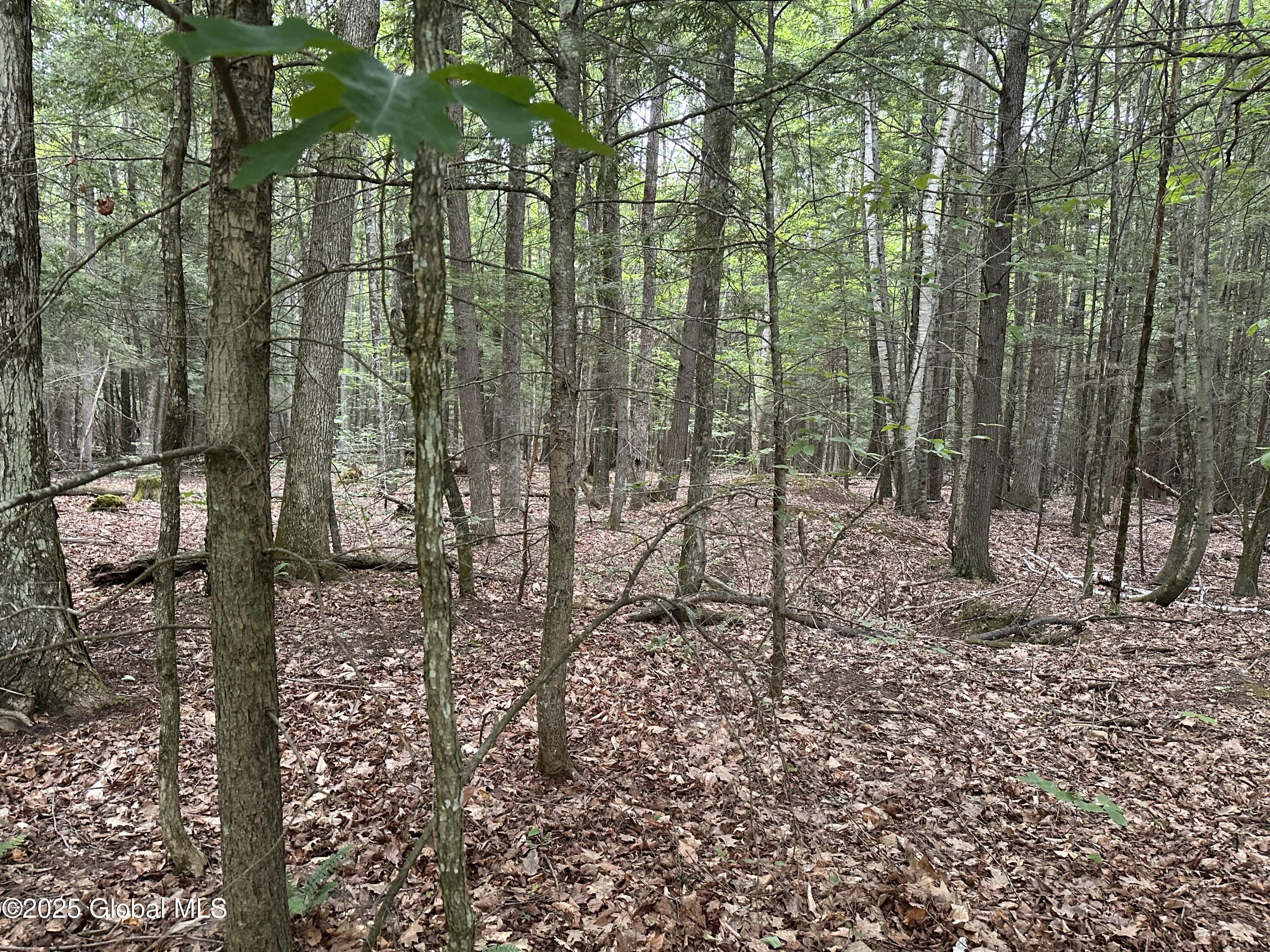 2 Diamond Ridge Road Diamond Point, NY 12824 - Photo 3 of 7 IMG_6926