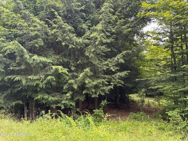 $179,000 | 2 Diamond Ridge Road, Diamond Point, NY 12824