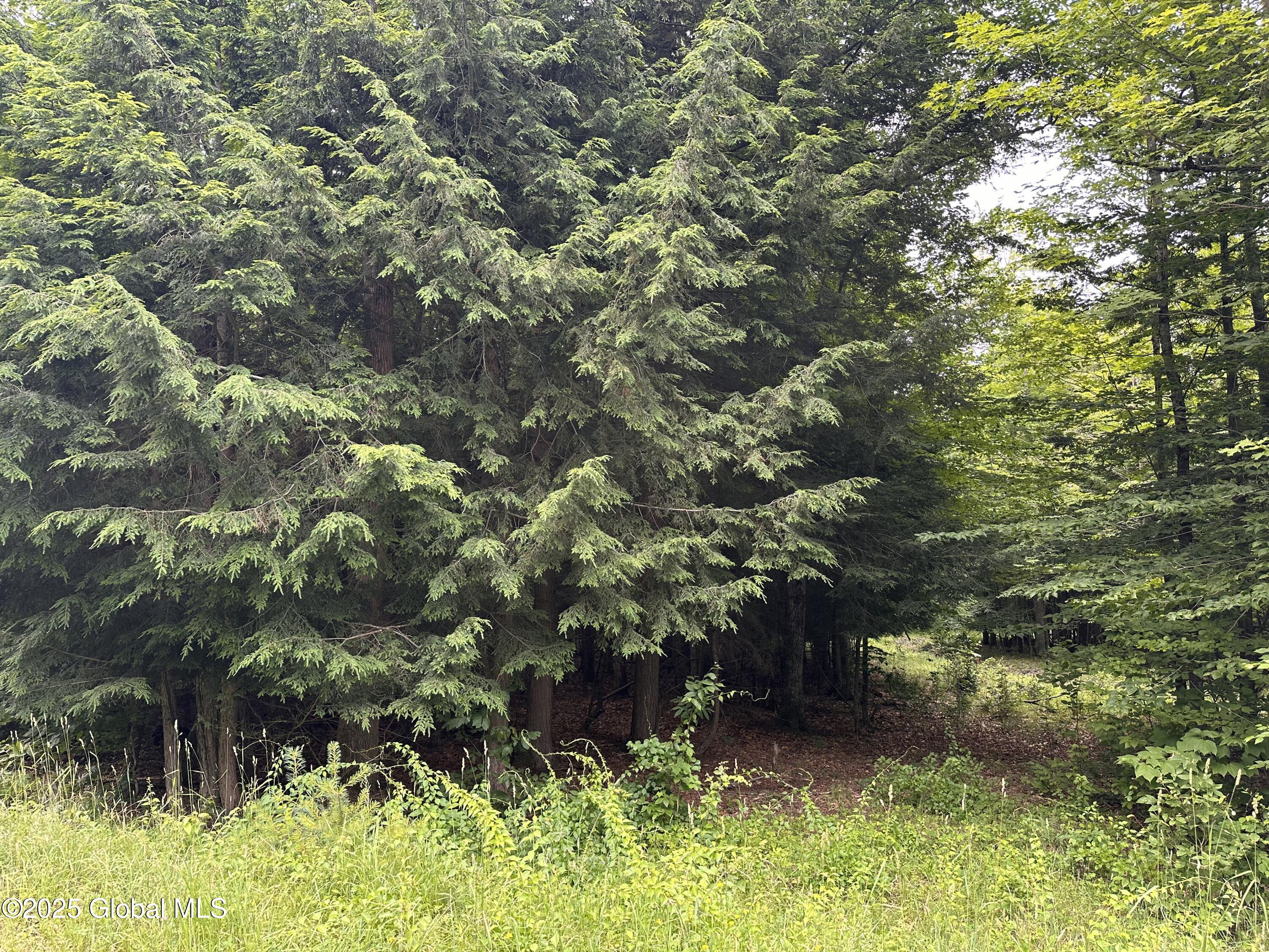 2 Diamond Ridge Road Diamond Point, NY 12824 - Photo 4 of 7 IMG_6923